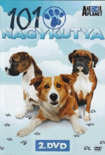 101 Nagykutya DVD 2. (DVD)