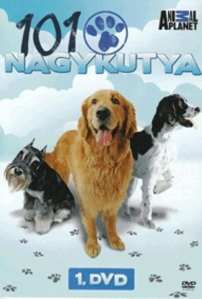 101 Nagykutya DVD 1. (DVD)