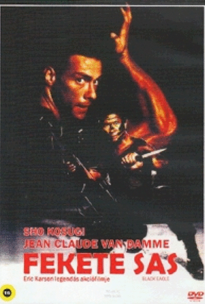 Fekete Sas (DVD) *Antikvár - Kiváló állapotú*