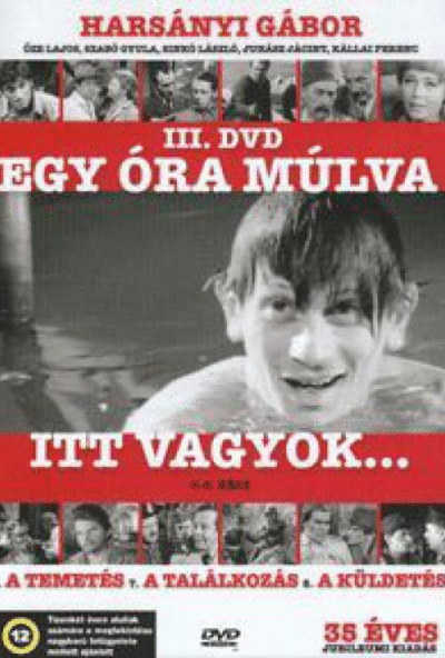 Egy óra múlva itt vagyok III. 6-8. rész (DVD)