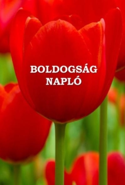 Boldogságnapló - puha kötés