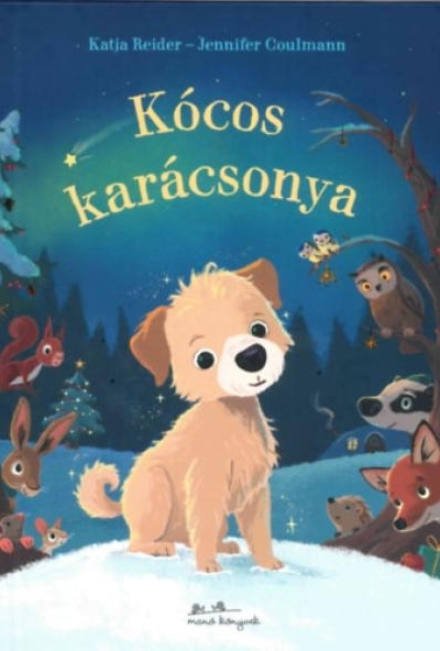 Kócos karácsonya