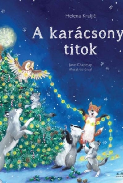 A karácsonyi titok