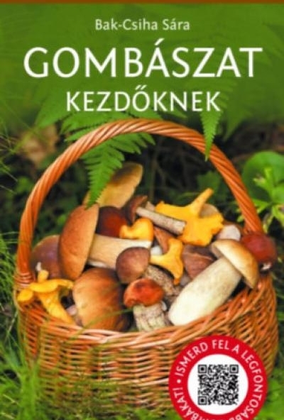 Gombászat kezdőknek