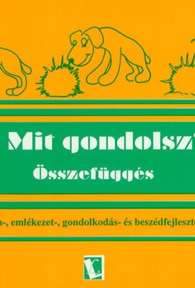 Mit gondolsz? 1. Összefüggés