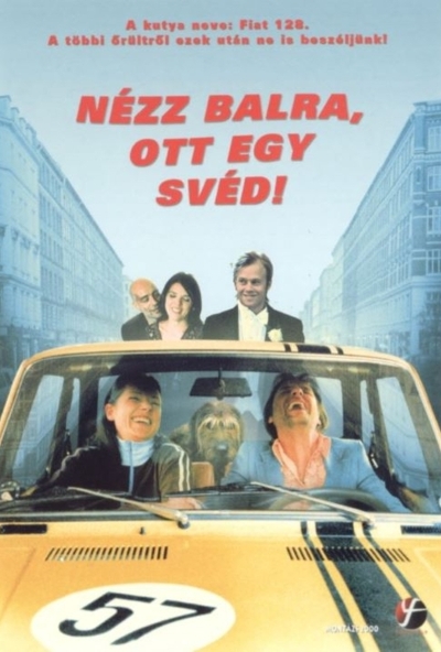 Nézz balra, ott egy svéd! (DVD) *Antikvár - Kiváló állapotú*