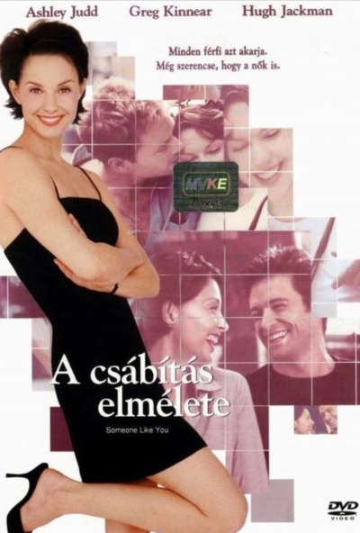 A csábítás elmélete (DVD) *Antikvár - Kiváló állapotú*