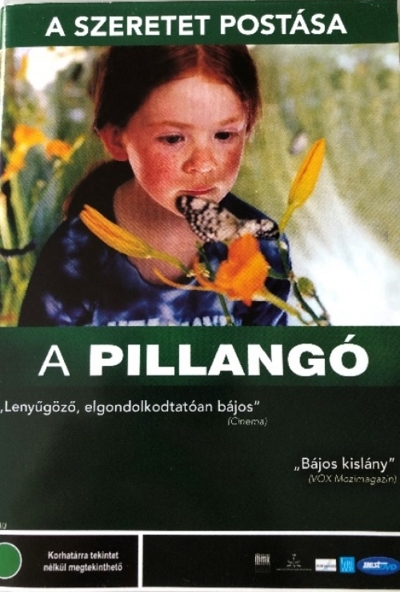 A pillangó - A szeretet postása (DVD) *Francia film - Antivár - Kiváló állapotú*
