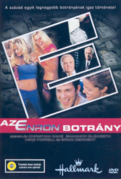 Az Enron botrány (DVD) *Antikvár - Kiváló állapotú*
