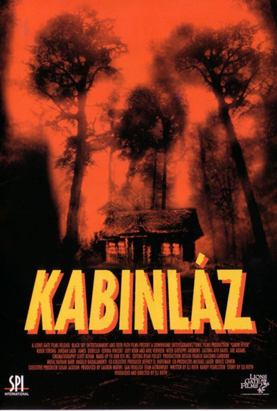 Kabinláz (DVD) *Szinkronizált* *Antikvár - Kiváló állapotú*