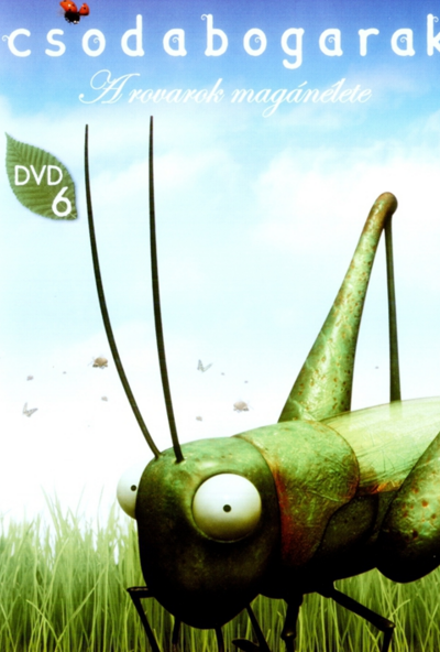 Csodabogarak - A rovarok magánélete 1-6. gyűjtemény (DVD) *Antikvár - Kiváló állapotú*