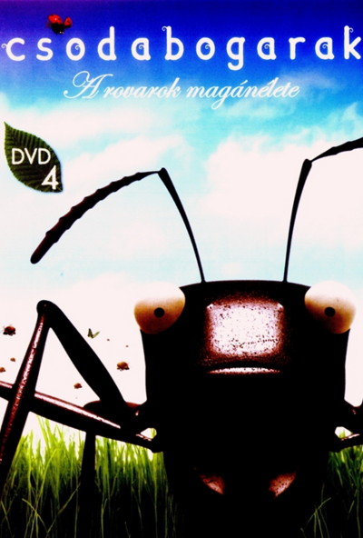 Csodabogarak - A rovarok magánélete 4. (DVD) *Antikvár - Kiváló állapotú*