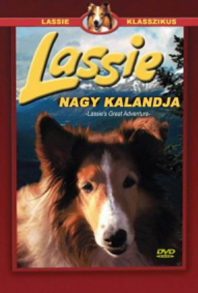 Lassie nagy kalandja (DVD) *Antikvár - Kiváló állapotú*