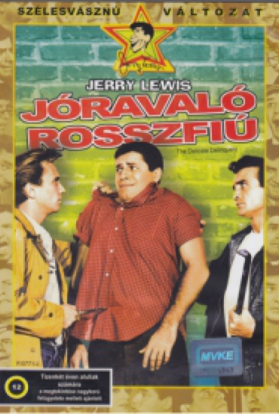 Jóravaló rosszfiú (DVD) *Magyar feliratos* *Antikvár - Kiváló állapotú*