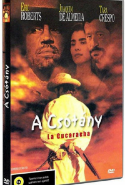 A Csótány (DVD) *Antikvár - Kiváló állapotú*