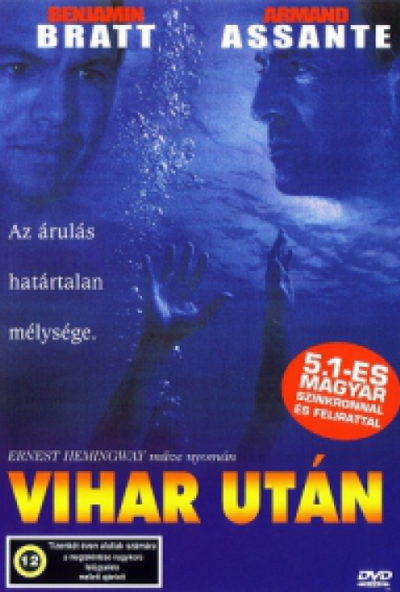 Vihar után (2001) (DVD) *Antikvár - Kiváló állapotú*