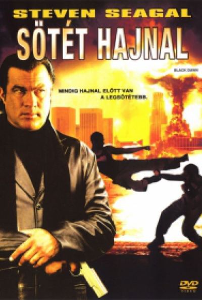 Sötét hajnal (DVD) *Steven Seagal - Antikvár - Kiváló állapotú*