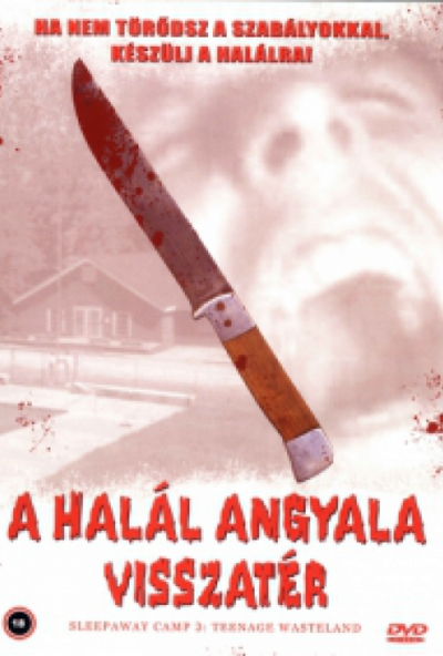 A halál angyala visszatér (A halál angyala 3.) (DVD) *Antikvár - Kiváló állapotú*