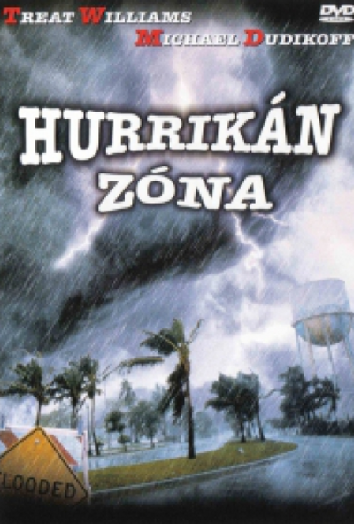 Hurrikán zóna (DVD) *Katasztrófafilm - Treat Williams - Michael Dudikoff - Antikvár - Kiváló állapotú*