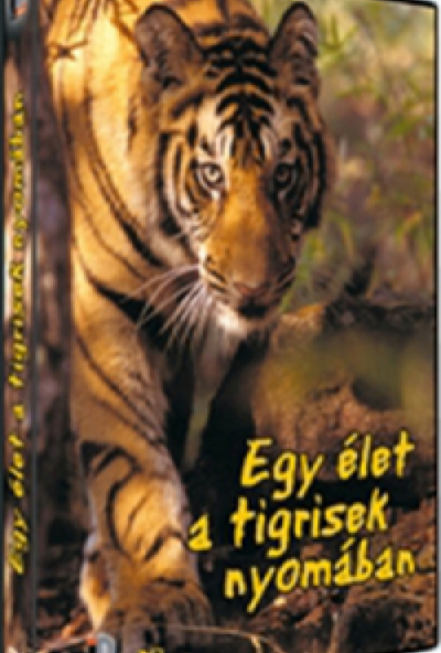 Egy élet a tigrisek nyomában (DVD) *Antikvár - Kiváló állapotú*
