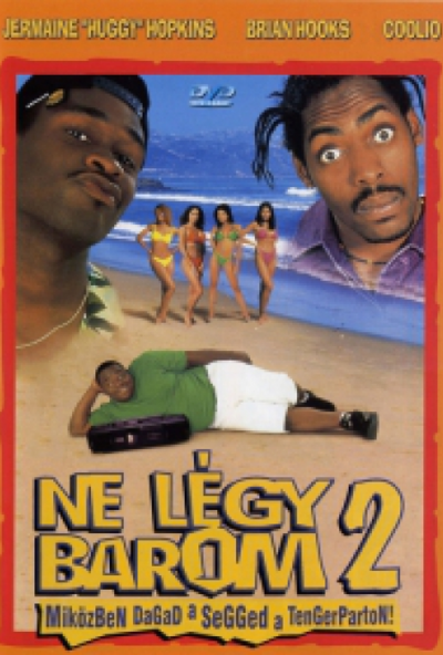 Ne légy barom 2. – Miközben dagad a segged a tengerparton (DVD) *Antikvár - Kiváló állapotú*