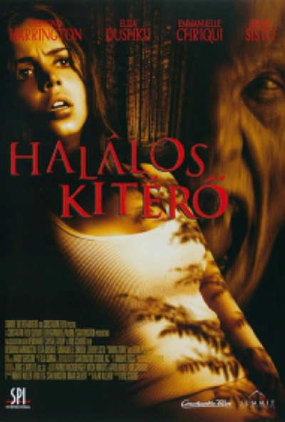 Halálos kitérő (DVD) *Antikvár - Kiváló állapotú*