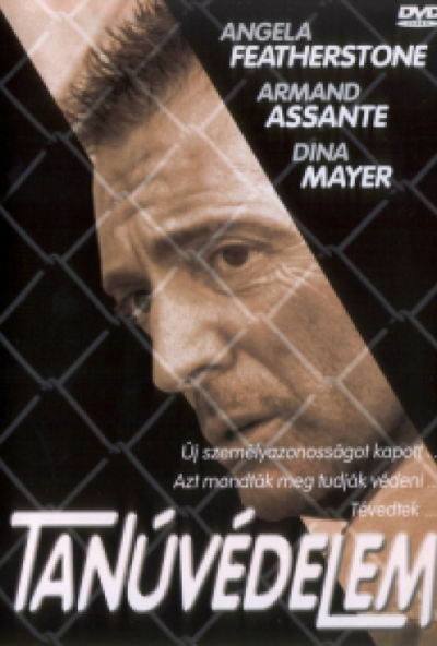 Tanúvédelem (DVD) *Antikvár - Kiváló állapotú*