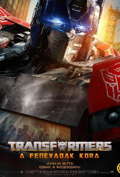 Transformers: A fenevadak kora (DVD)