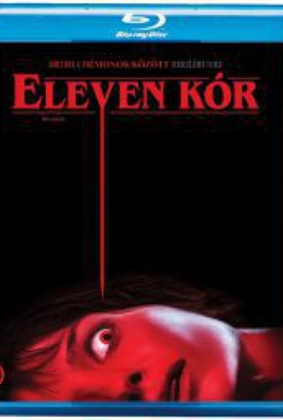 Eleven kór (Blu-ray) *Magyar kiadás - Antikvár - Kiváló állapotú*