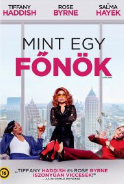 Mint egy főnök (DVD)