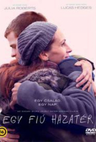 Egy fiú hazatér (DVD)