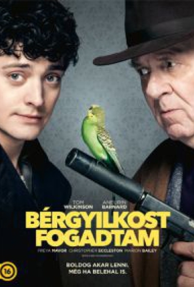 Bérgyilkost fogadtam (DVD)