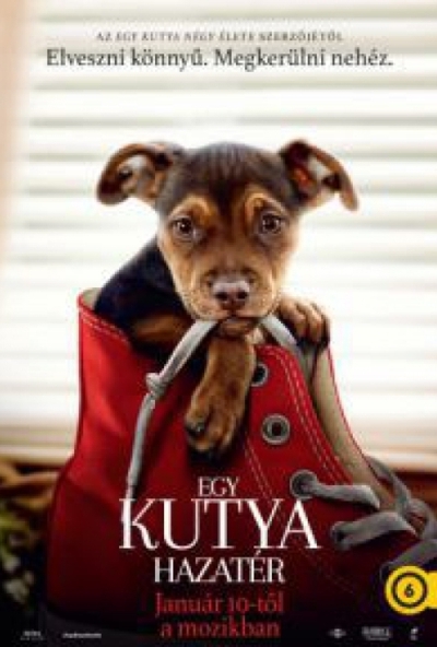 Egy kutya hazatér (DVD) *Szinkronizált - Ashley Judd - Import* 