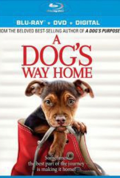 Egy kutya hazatér (Blu-ray) *Import-Magyar szinkronnal*