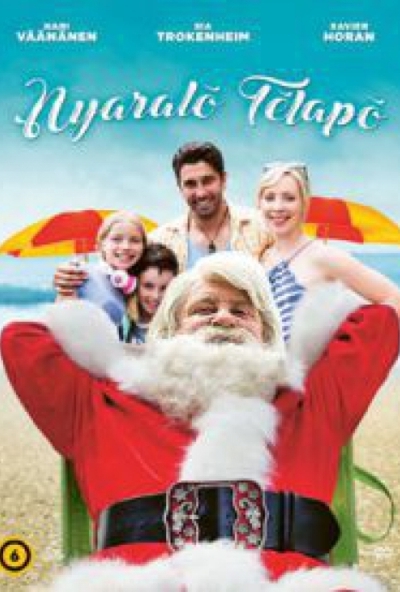 Nyaraló télapó (DVD)