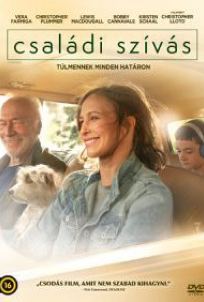 Családi szívás (DVD)