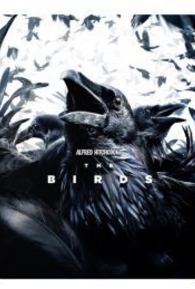 Madarak - limitált, fémdobozos változat (steelbook) (Blu-ray)*Antikvár - Kiváló állapotú* 