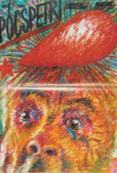 Pócspetri (Ember Judit) (2 DVD)