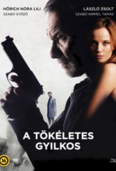 A tökéletes gyilkos (DVD) *Antikvár - Kiváló állapotú*