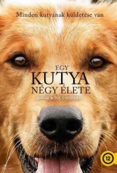 Egy kutya négy élete (DVD) *Dennis Quaid - Antikvár - Kiváló állapotú*