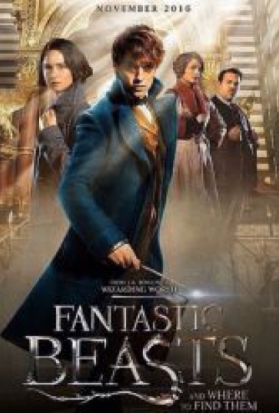 Legendás állatok és megfigyelésük (2 DVD + karakterkártyákkal) *Antikvár - Kiváló állapotú*