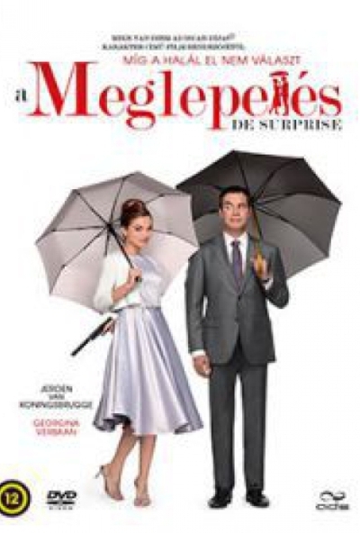 A meglepetés (DVD) *Antikvár - Kiváló állapotú*