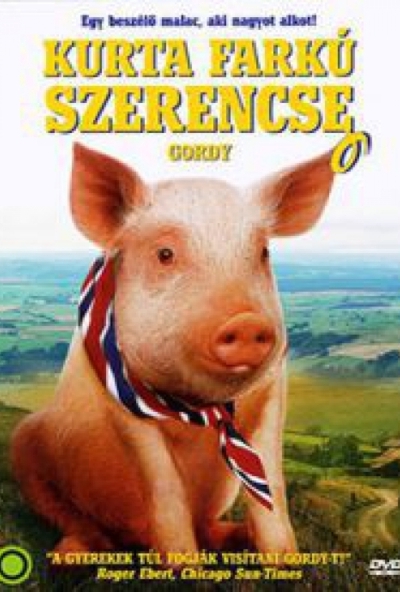 Kurta farkú szerencse (DVD)