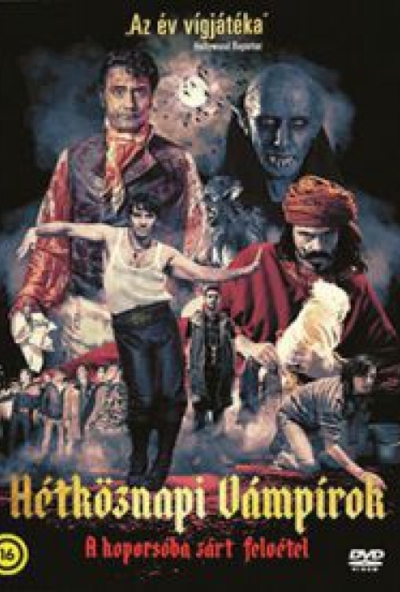 Hétköznapi vámpírok (DVD) *Antikvár - Kiváló állapotú*