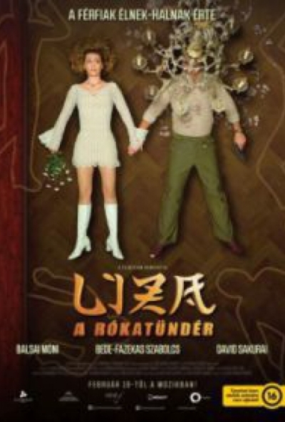 Liza, a rókatündér (DVD) *Balsai Mónika - Antikvár - Kiváló állapotú*