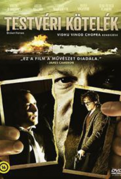 Testvéri kötelék (DVD)