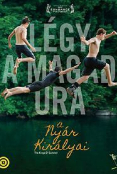 A nyár királyai (DVD)  *Antikvár - Kiváló állapotú*