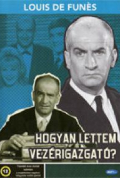 Hogyan lettem vezérigazgató? (DVD) *Antikvár - Kiváló állapotú*