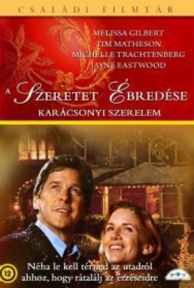 A szeretet ébredése - Karácsonyi szerelem (DVD)
