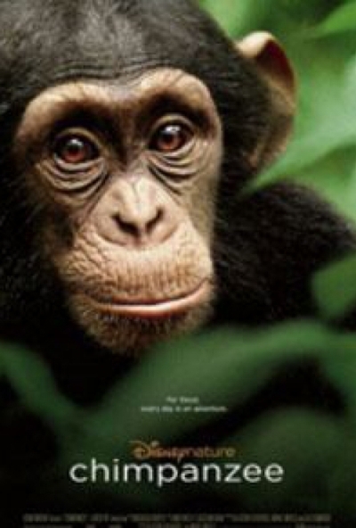 Oscar, a csimpánz (DVD)